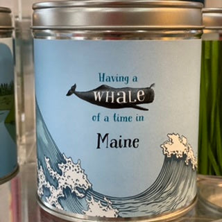 Whale of a Time Tropical Scent Candle by Aunt Sadie's