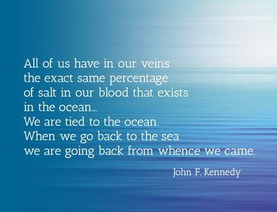 JFK: Tied to the Ocean Postcard