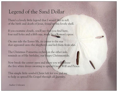 Legend of the Sand Dollar postcard