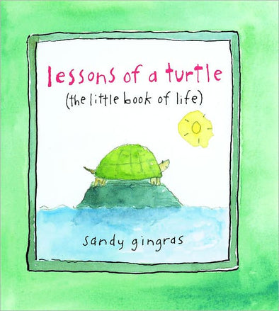 Lessons of the Turtle